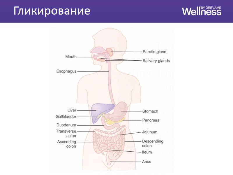 Гликирование